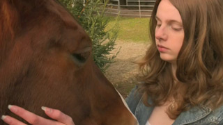 video link - More Horseplay at the Cool Ranch